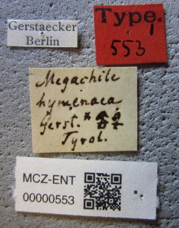 Media type: image;   Entomology 553 Aspect: labels
